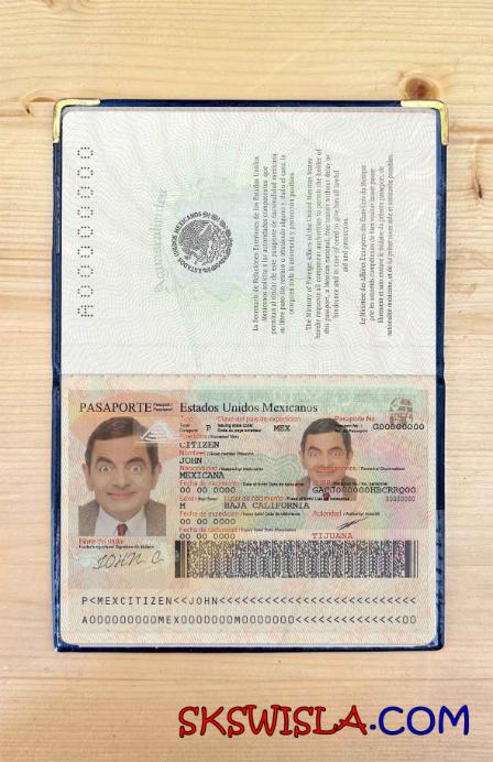 Meksyk zdjęcie do paszportu pliki PSD, skan i fotografowany obraz